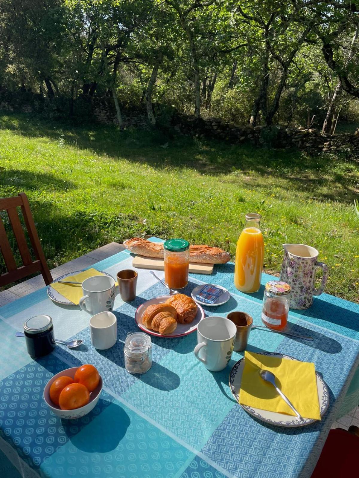 Bed and Breakfast Les Marguerites Vers Pont du Gard Exteriér fotografie